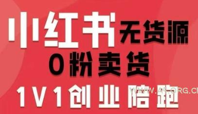 小红书无货源0粉电商课，开店准备、选品策略、笔记撰写、视频剪辑、数据分析、账号打造、资料文档(更新26年3月16日)-小红泡