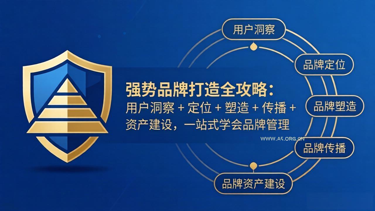 强势品牌打造全攻略：用户洞察 + 定位 + 塑造 + 传播 + 资产建设，一站式学会品牌管理-小红泡