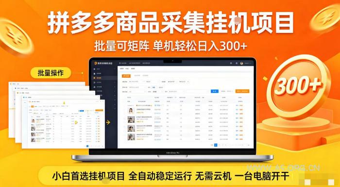 拼多多商品信息全自动采集项目,批量可矩阵,单机轻松日入300+,无需云机一台电脑开干【揭秘】-小红泡
