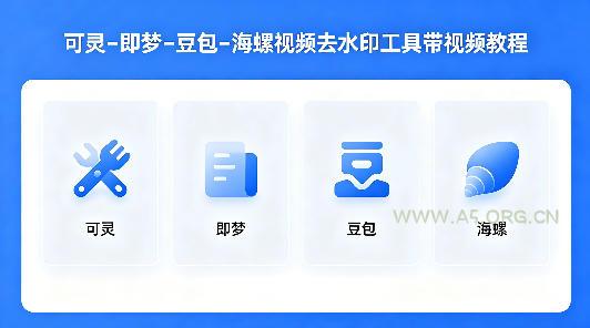 可灵–即梦–豆包–海螺视频去水印工具带视频教程-小红泡