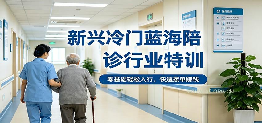 新兴冷门蓝海陪诊行业特训，零基础轻松入行，快速接单赚钱-小红泡