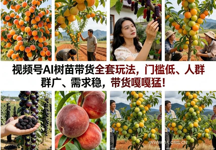 视频号AI树苗带货全套玩法，门槛低、人群广、需求稳，带货嘎嘎猛！(更新0426)-小红泡