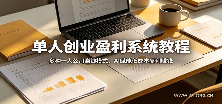单人创业盈利系统教程:多种一人公司赚钱模式,AI赋能低成本复利赚钱-小红泡