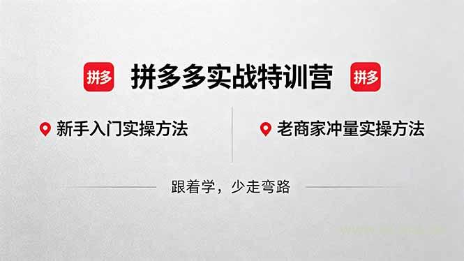 拼多多实战特训营(更新5月3-小红泡