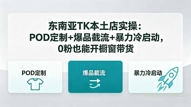 东南亚TK本土店实操：POD定制+爆品截流+暴力冷启动，0粉也能开橱窗带货-小红泡