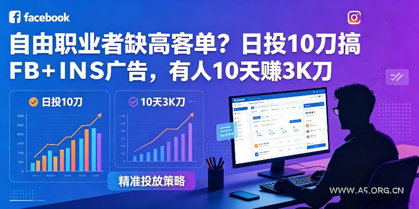 自由职业者缺高客单？日投10刀搞FB+INS广告，有人10天赚3K刀！【原创双语字幕】-小红泡