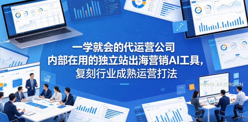 一学就会的代运营公司内部在用的独立站出海营销AI工具，复刻行业成熟运营打法-小红泡